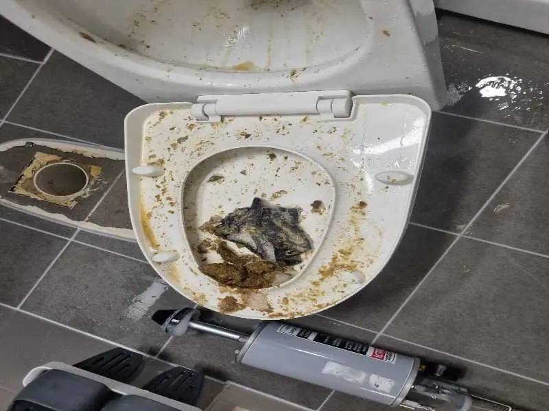 청라 변기막힘 작업사례 6